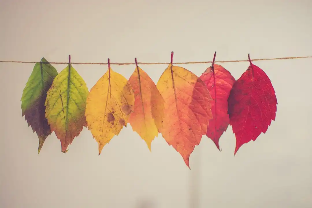 what is pay per click affiliate marketing 5 Photo Keywords: affiliate marketing, SEO Relevant generic image: website traffic