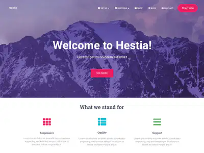 best blog wordpress themes
